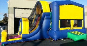 Inflatable Bounce House Combos Sale